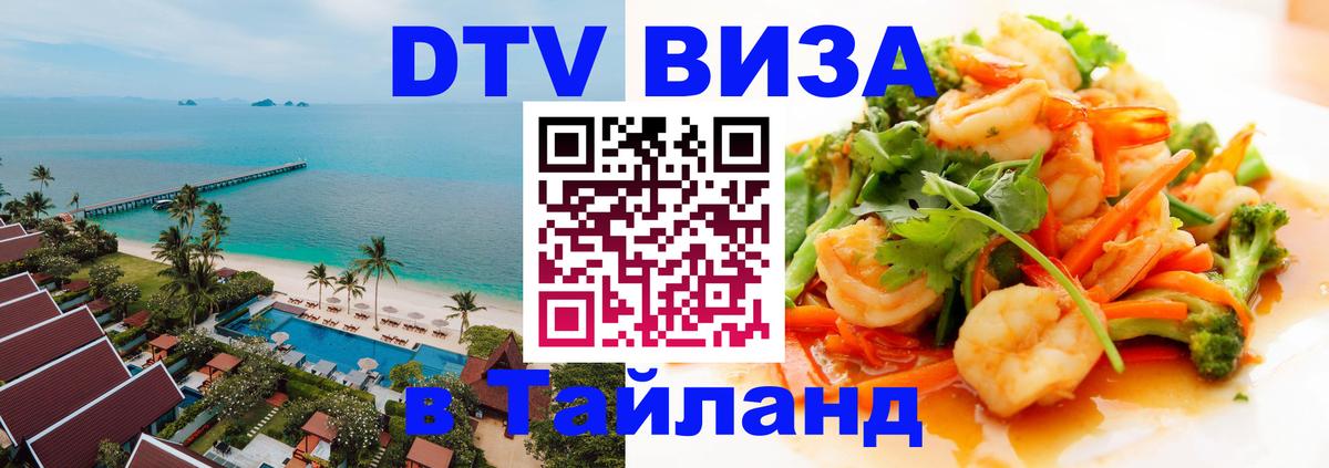 Оформление DTV визы под ключ: стоимость и тарифы, только загранпаспорт - Тирана  09.01.2026 